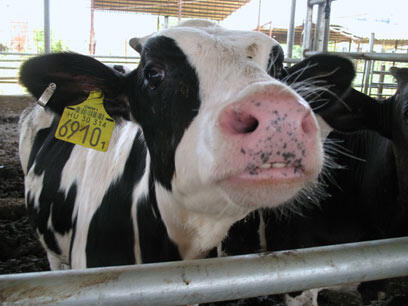 צילום: מרב נתן