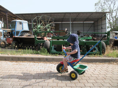 צילום: מרב נתן