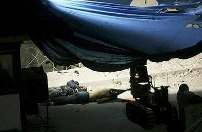 צילום: רויטרס