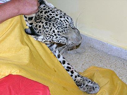 צילום: עמרם צברי, רשות הטבע והגנים