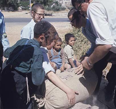 צילום: דוד רובינגר