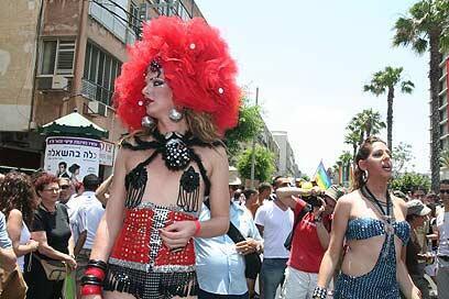 צילום: עופר עמרם