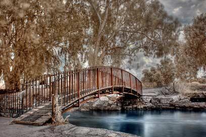 צילום: דרור דוידמן