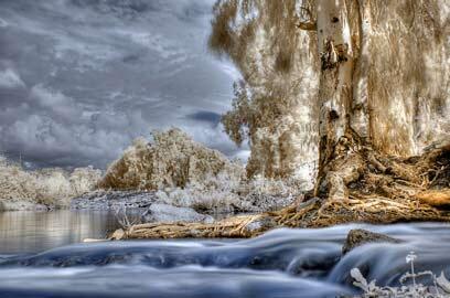 צילום: דרור דוידמן