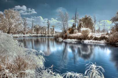 צילום: דרור דוידמן