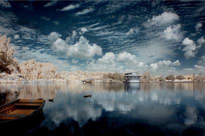 צילום: דרור דוידמן