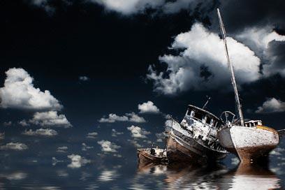 צילום: דרור דוידמן