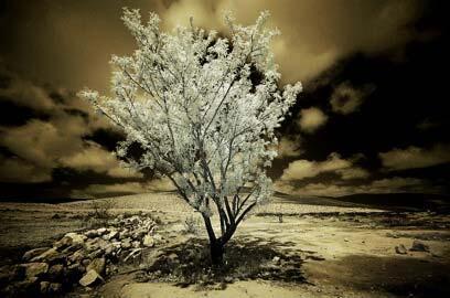 צילום: דרור דוידמן