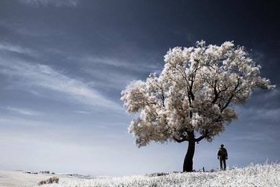 צילום: דרור דוידמן