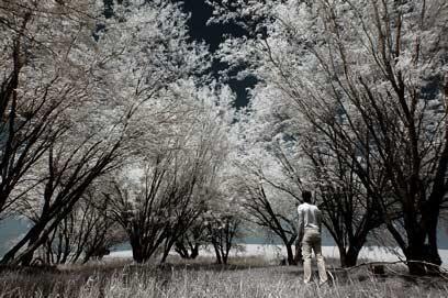 צילום: דרור דוידמן