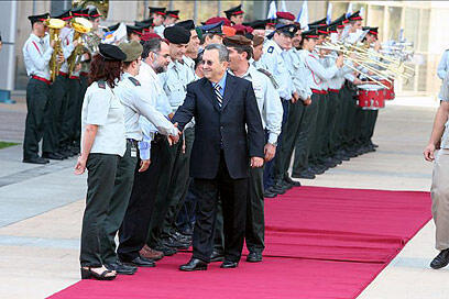 צילום: עופר עמרם