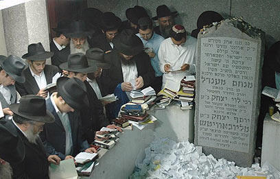 צילום: שטורעם