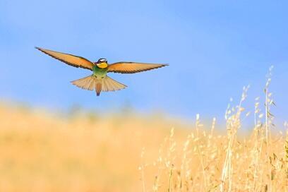 צילום: דרור דוידמן
