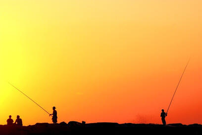 צילום: דרור דוידמן