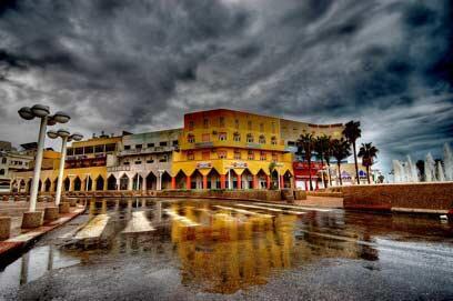 צילום: דרור דוידמן