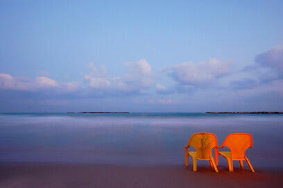 צילום: דרור דוידמן