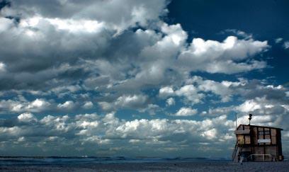 צילום: דרור דוידמן
