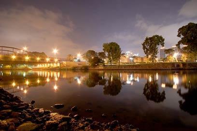 צילום: דרור דוידמן