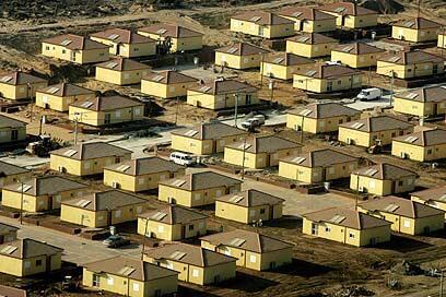 צילום: איי פי