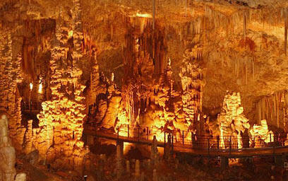 צילום: אלכס קולומויסקי