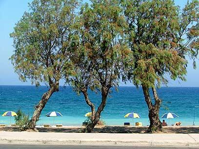 צילום: עומר הכהן