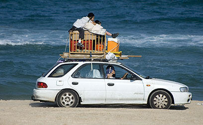 צילום: שי לוי