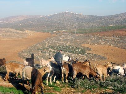 צילום: בנצי גופשטיין