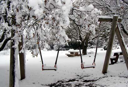 צילום: שולי אנקונינה