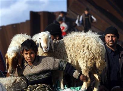 צילום: איי פי