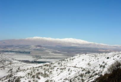 צילום: פיני ירון