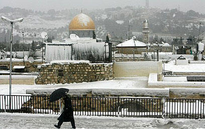 צילום: רויטרס