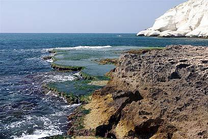 צילום: עינב ברזני