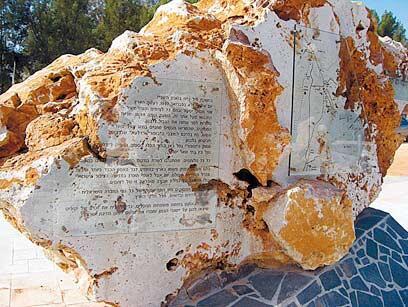 צילום: יפה רזיאל