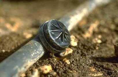 צילום: חנניה הרמן, לע"מ