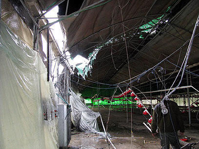 צילום: קובי תום פרידמן