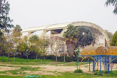 צילום: זאב טרכטמן