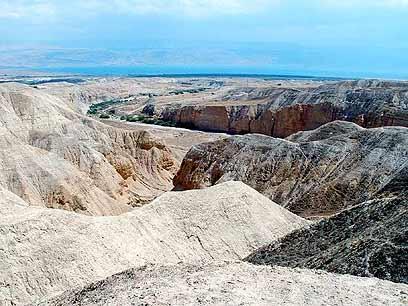 צילום: מיכל כרמון