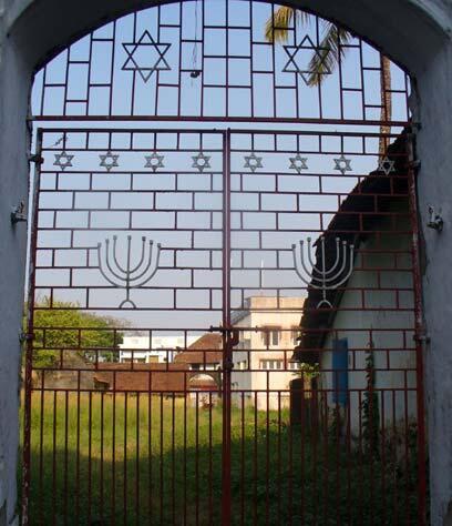 צילום: Ines Ehrlich