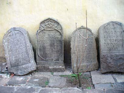 צילום: Ines Ehrlich