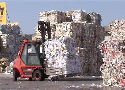 צילום: דלית שחם