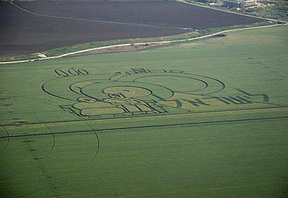 צילום: דוד עינב