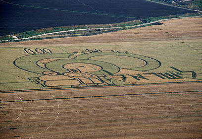צילום: דוד עינב