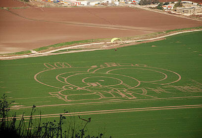 צילום: דוד עינב