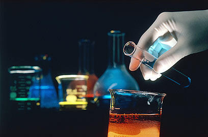 צילום: liqud library