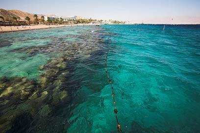 צילום: דורון ניסים, רשות הטבע והגנים
