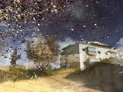 צילום: יעל נאמן