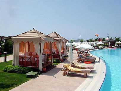 צילום: אבי כהן