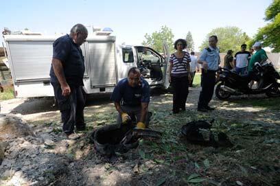 צילום: אמיר כהן