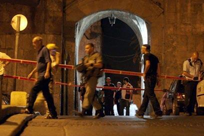 צילום: גיל יוחנן