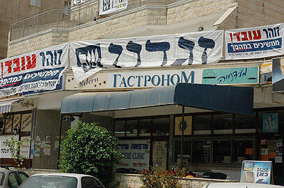 צילום: יורם כהן